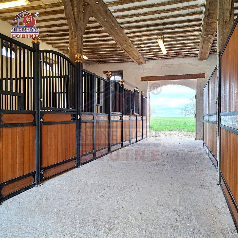 Horse Stable Stall Factory - OEM Barn Style Doors Wood Panel with Steel Frame
