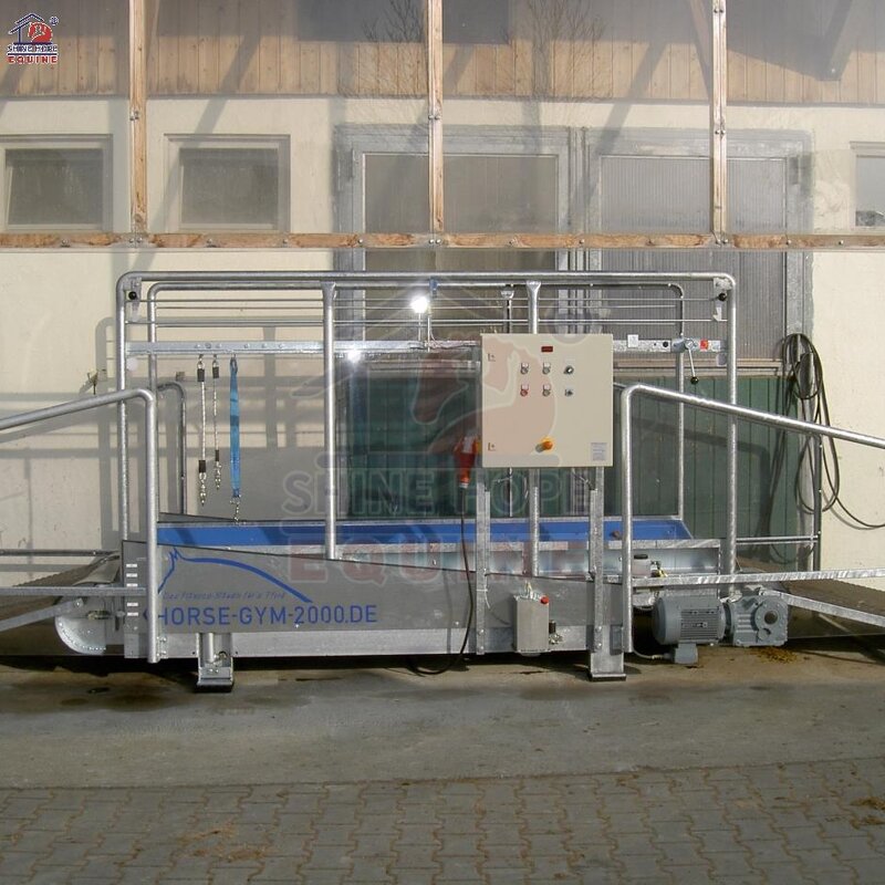 Equine Treadmill Manufacturer - OEM High Speed Horse Strength Training Racing