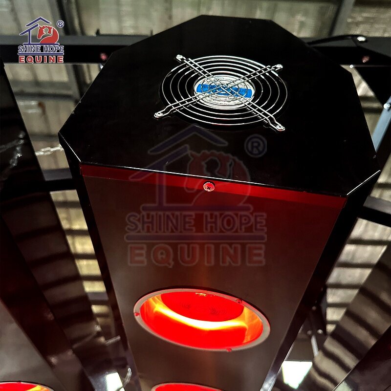 Equine Solarium Manufacturer - OEM Horse Stable Equipment Horse Solarium