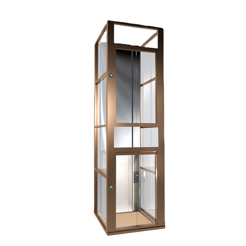 Home Elevator Factory - OEM Custom Luxury Villa Elevator