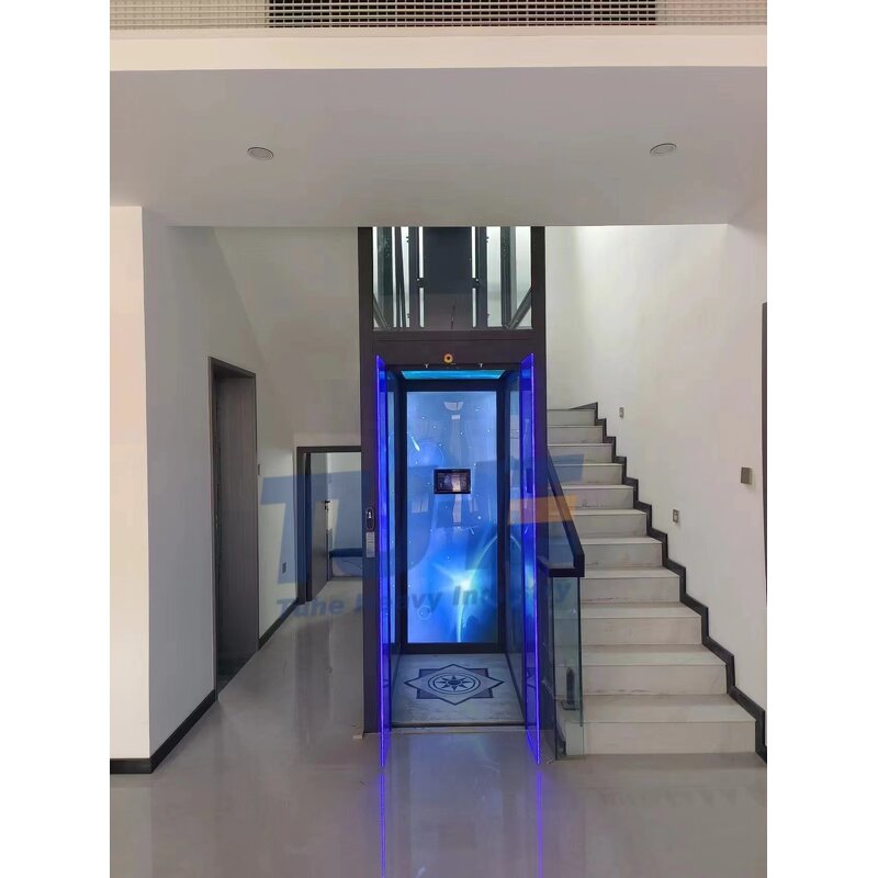 Home Elevator Factory - OEM Custom Luxury Villa Elevator