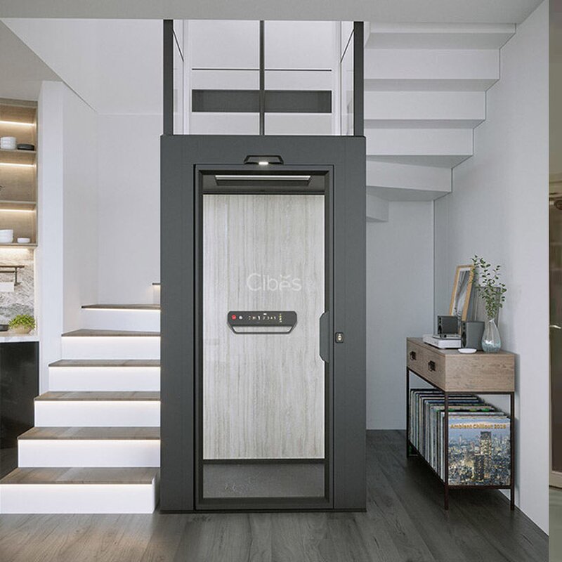 Passenger Elevator Manufacturer - OEM Custom 350KG Residential Lift