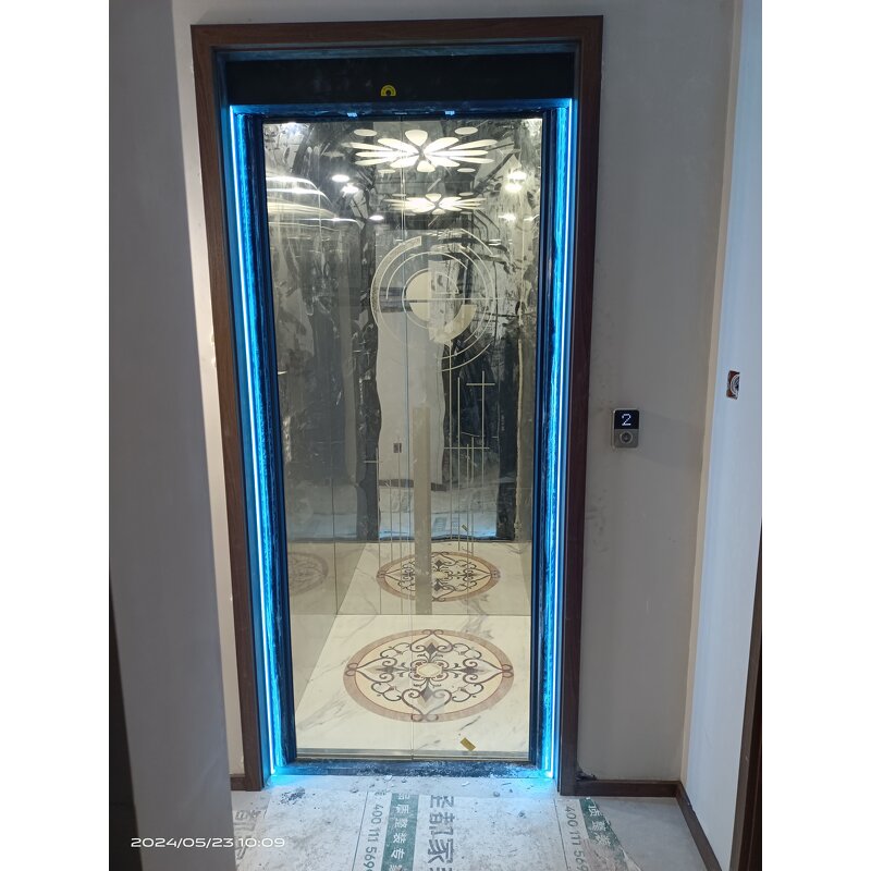 Home Elevator Factory - OEM Custom Luxury Villa Elevator