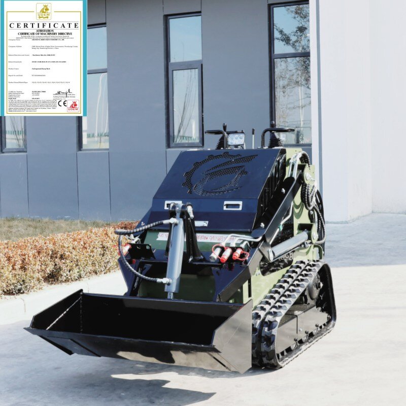 Crawler Skid Steer Loader Manufacturer - OEM Cheapest EPA EURO5 0.12 CBM 15HP