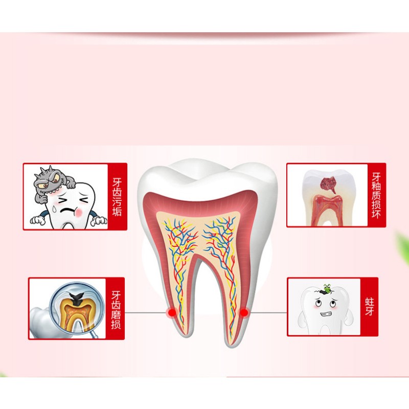 Cranberry Mint Herbal Toothpaste for Oral Care Whitening and Healthy Teeth Removes Stains and Cleans