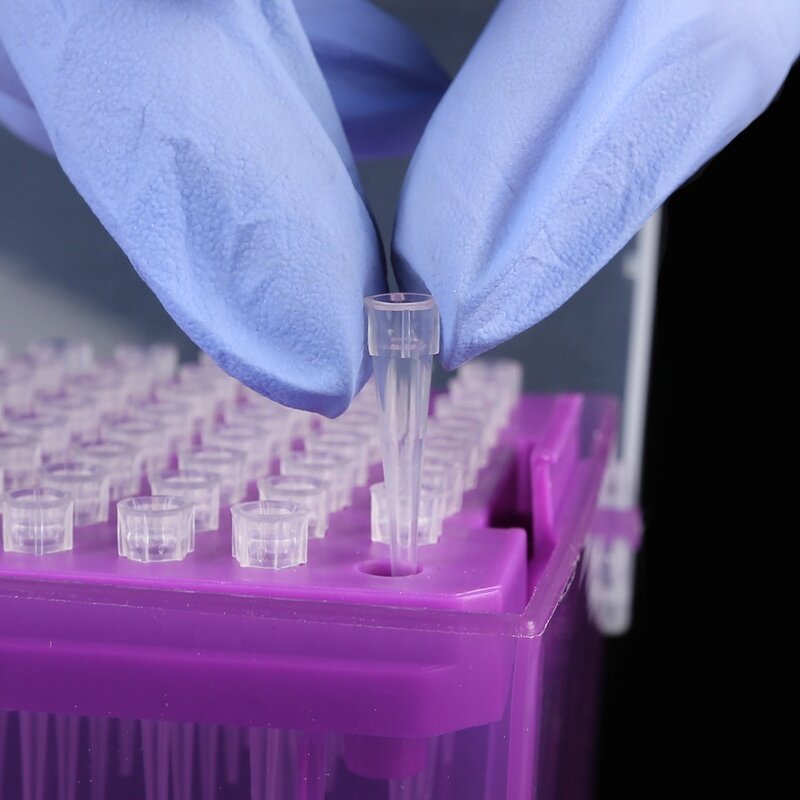 Filtered Pipette Tips Factory - OEM Custom 10ul-10ml with Box