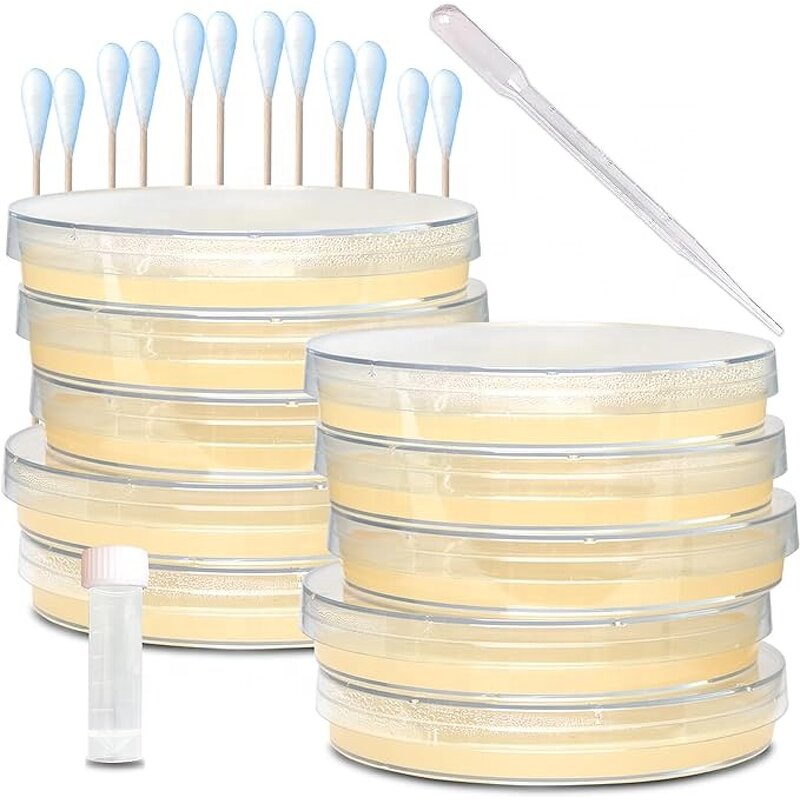 Petri Dish Manufacturer - OEM Custom Plastic Sterile Tissue Culture