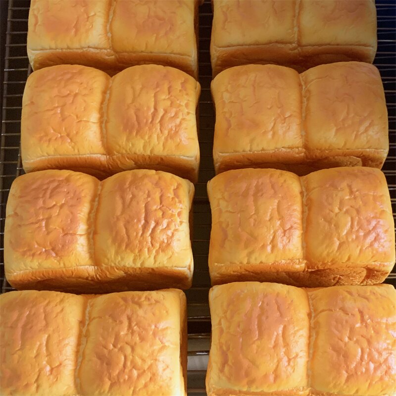 Bread Model Manufacturer - OEM Custom Yeast Fermentation Dough Toast