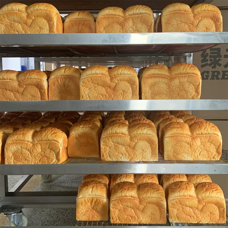 Bread Model Manufacturer - OEM Custom Yeast Fermentation Dough Toast