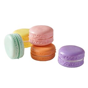 Biscuit Model Factory - OEM Custom Simulation Circular Baking Display