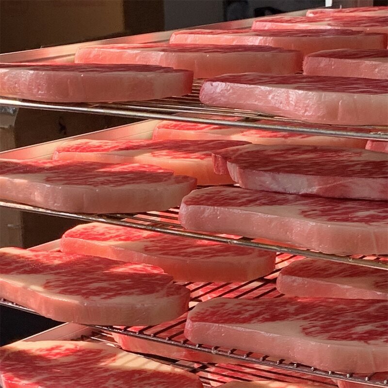 Melon Seeds Model Factory - OEM Custom PVC Simulation Gift Coffee