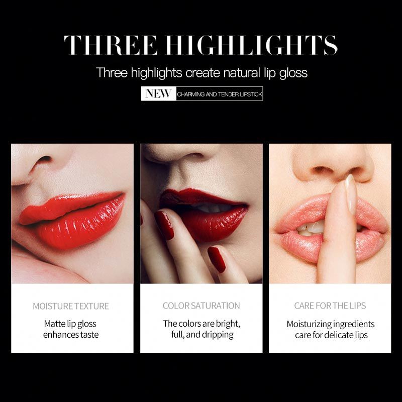 New arrival private Label SENANA Makeup Cosmetic Waterproof Smooth 10 Color Lipstick