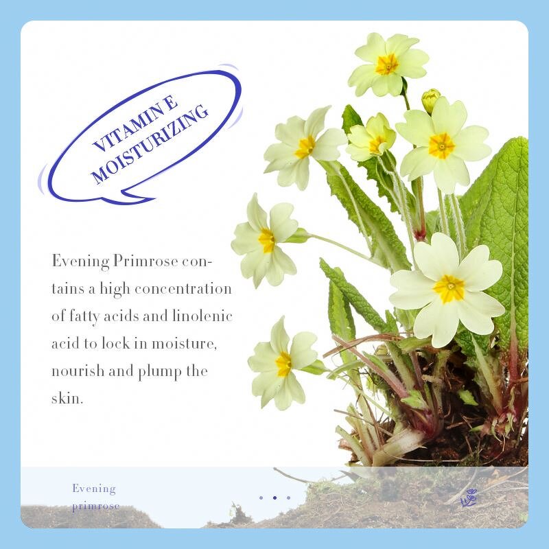 300g SADOER Day and Night Evening Primrose Oil Vitamin E Cream Nourishing Beauty Face Cream for Lady