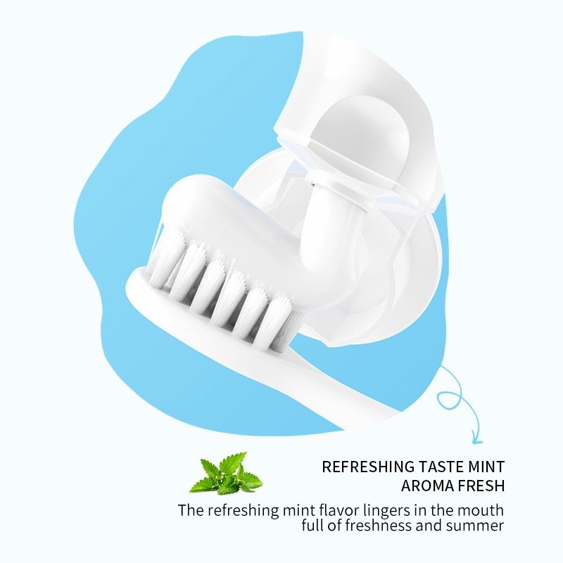 100g OEM ODM Mint Lemon Removes Stains Organic Activated Toothpaste for Adult