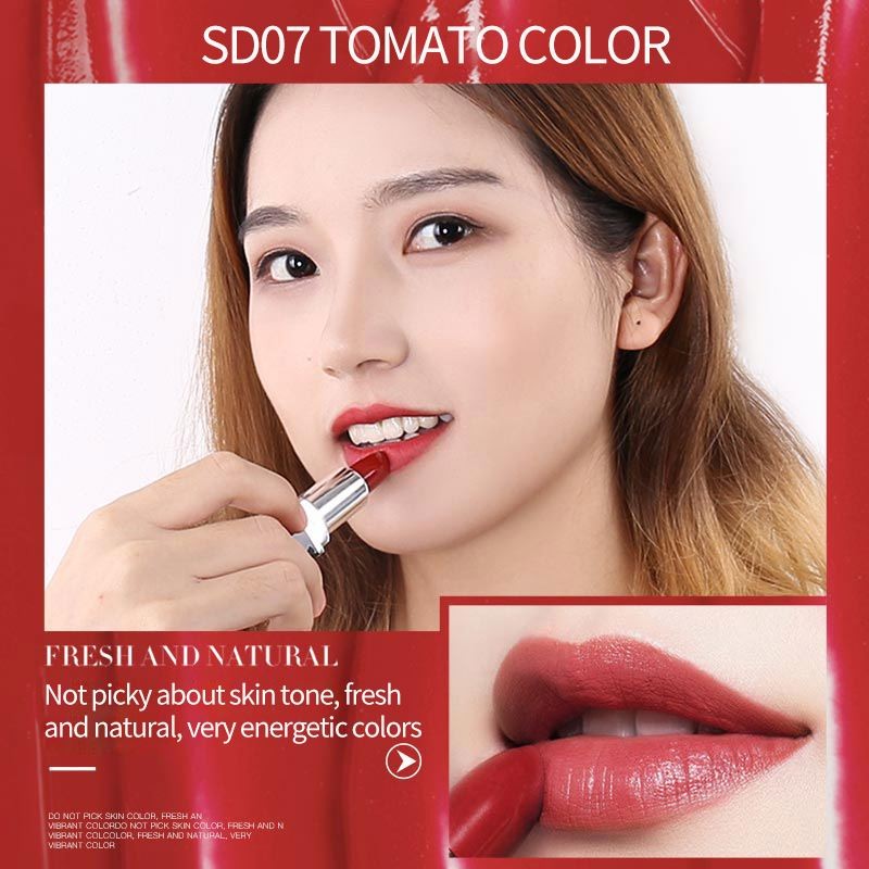 New arrival private Label SENANA Makeup Cosmetic Waterproof Smooth 10 Color Lipstick