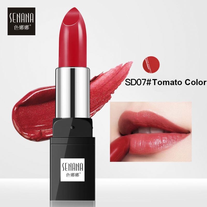 New arrival private Label SENANA Makeup Cosmetic Waterproof Smooth 10 Color Lipstick