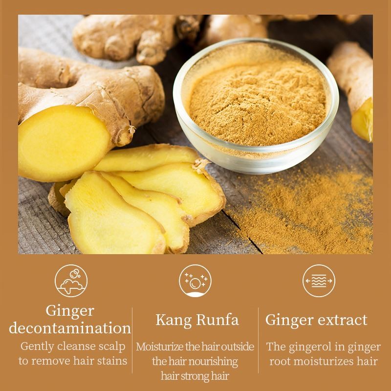 ETAE Ginger Smoothing Hair Conditioner ODM OEM Plant Ginger Serum Conditioner Gentle Hair Care Ginger Repairing Conditioner