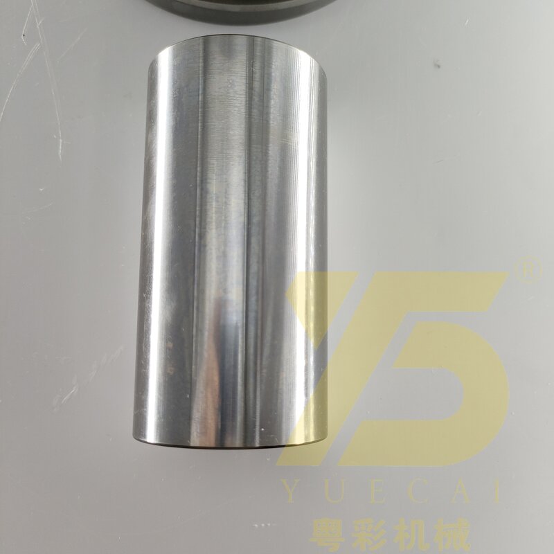 New Piston Kit Liner Kit Factory - OEM YUE CAI 40679600 for D8k D5k