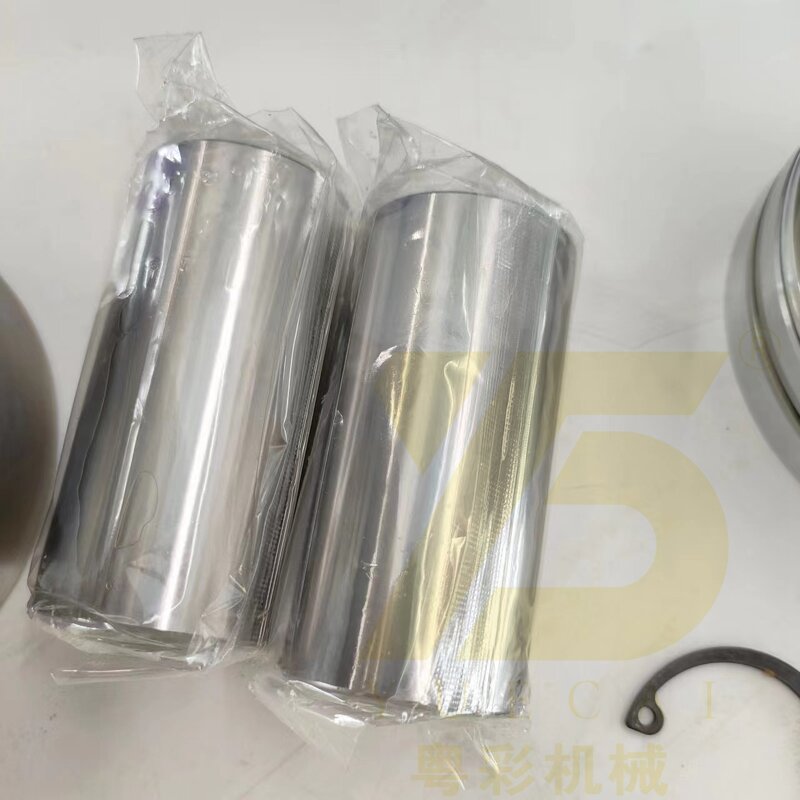 Piston Set Liner Kit Manufacturer - OEM YUE CAI 04501351 for D7E EC300DL