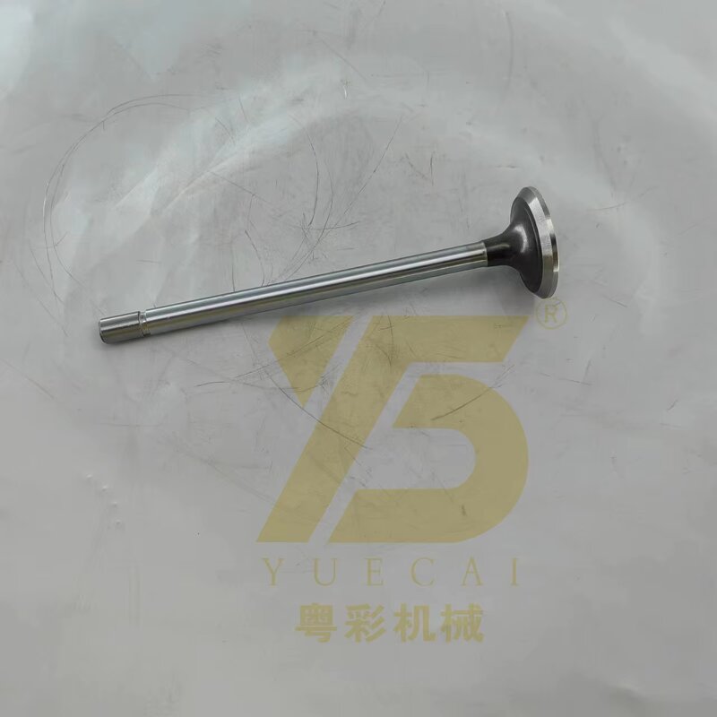 Engine Valve Manufacturer - OEM YUE CAI 466-8825 for 980G 824K