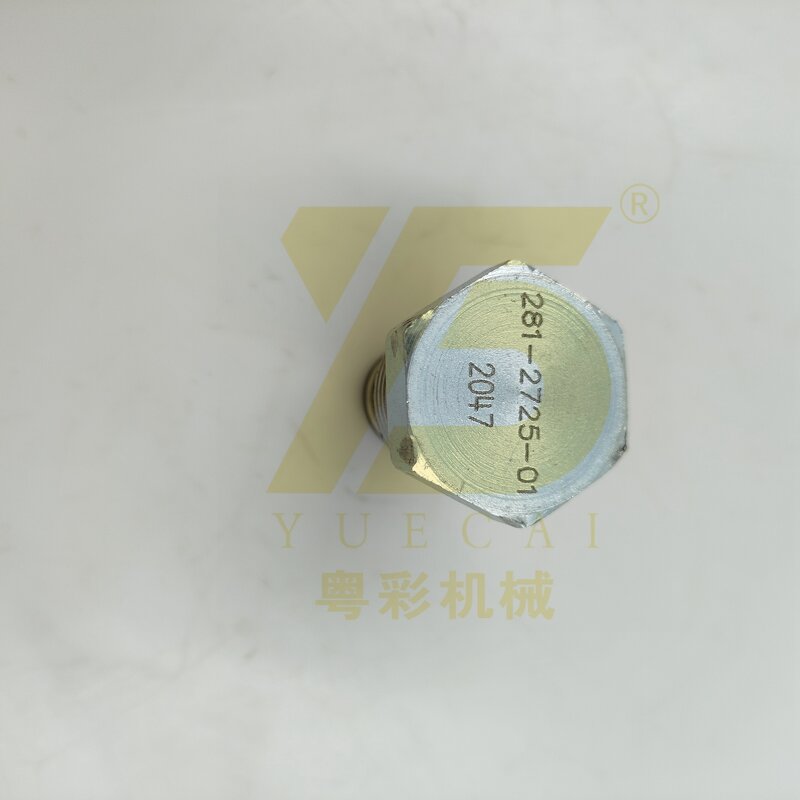 Check Valve GP Manufacturer - OEM YUE CAI 2812725 for C11 C12 C13