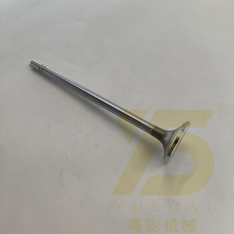 Engine Valve Manufacturer - OEM YUE CAI 122-0321 for 3412 3406 3408