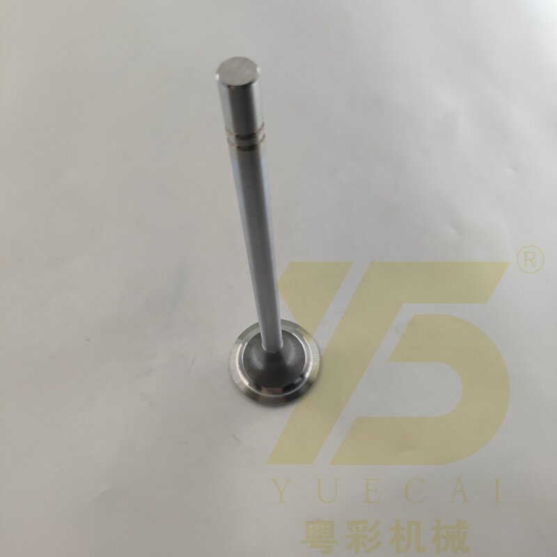 Engine Valve Manufacturer - OEM YUE CAI 122-0321 for 3412 3406 3408