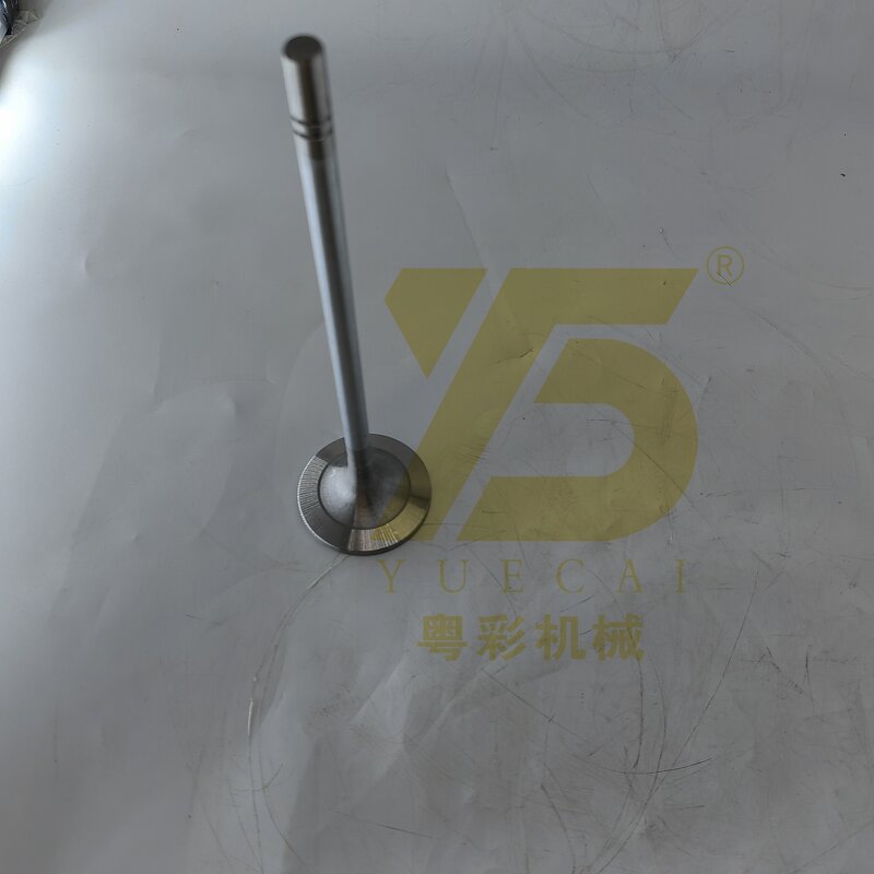 Excavator Valve Intake Manufacturer - OEM YUE CAI 4688824 for 3508 3512B