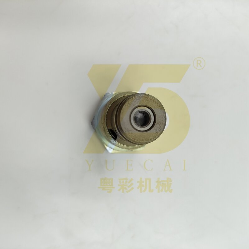 Check Valve GP Manufacturer - OEM YUE CAI 2812725 for C11 C12 C13