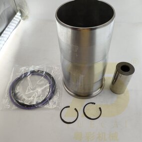 Diesel Engine Cylinder Liner Kit Manufacturer - OEM YUE CAI 0380890 for D13D