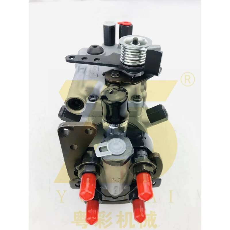 DP200 Diesel Fuel Injection Pump Factory - OEM YUE CAI 8923A952G for DARWIN