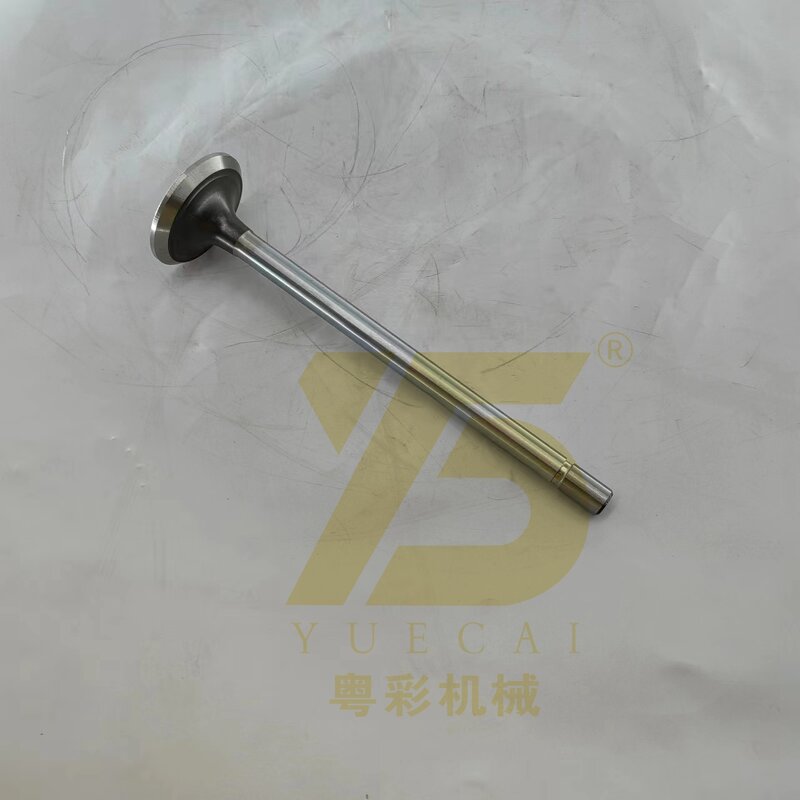 Engine Valve Manufacturer - OEM YUE CAI 466-8825 for 980G 824K