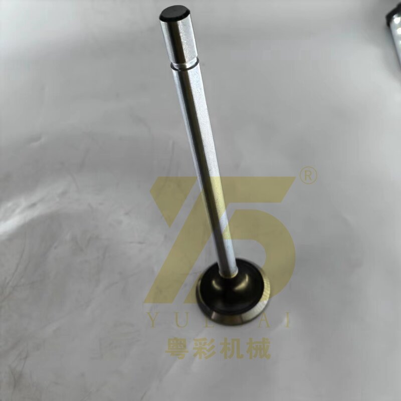 Engine Valve Manufacturer - OEM YUE CAI 466-8825 for 980G 824K