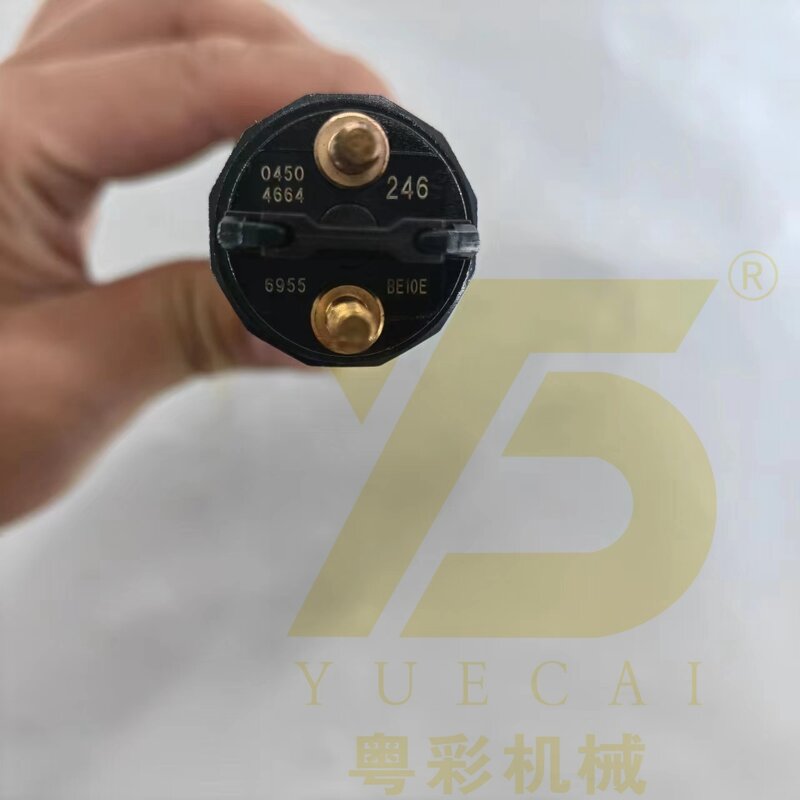 Fuel Injector Manufacturer - OEM YUE CAI 0445120243 for D6H Common Rail