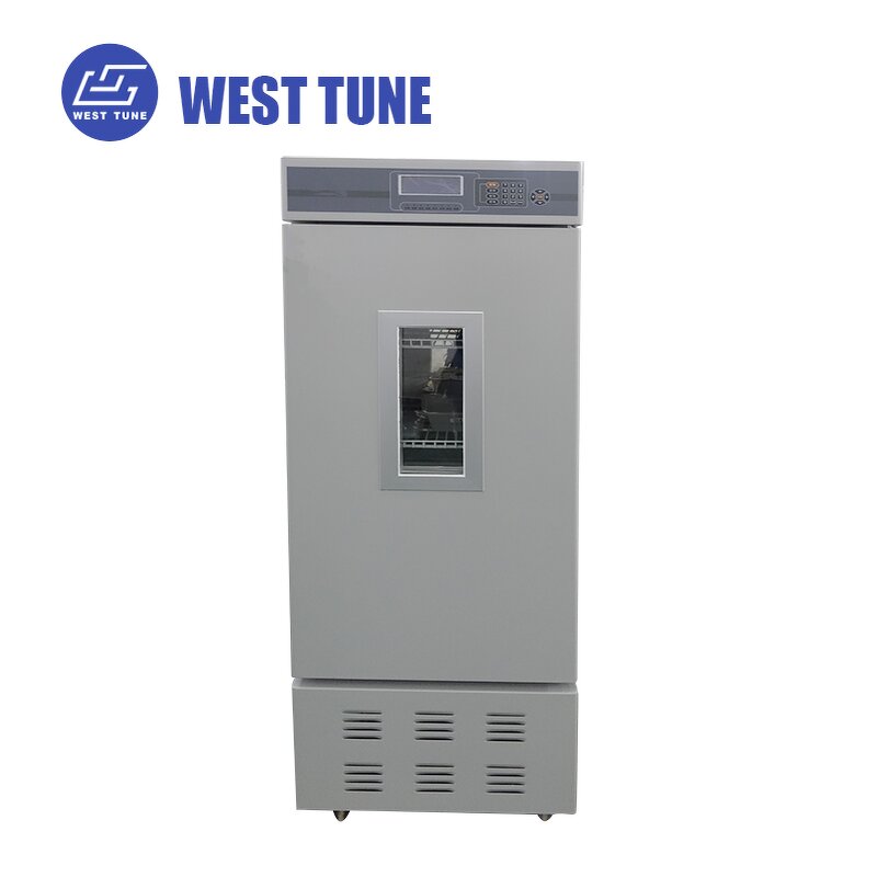 Plant Growth Chamber Factory - OEM Custom 500L Agricultural Seed Incubator