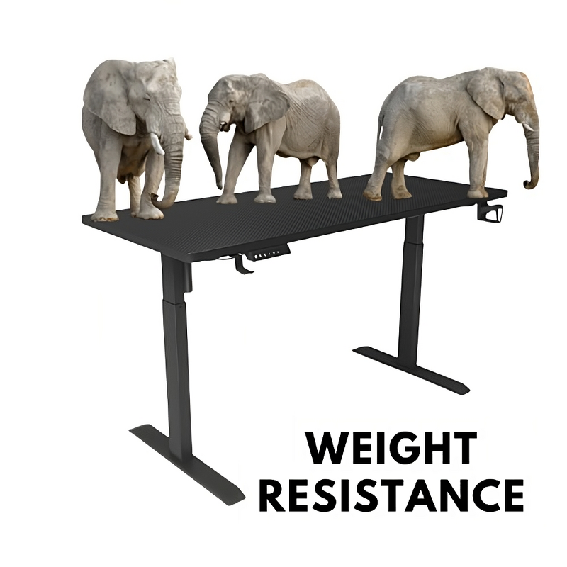 Electric Dual-motor Standing Desk Manufacturer - OEM Comfortable Steel Auto