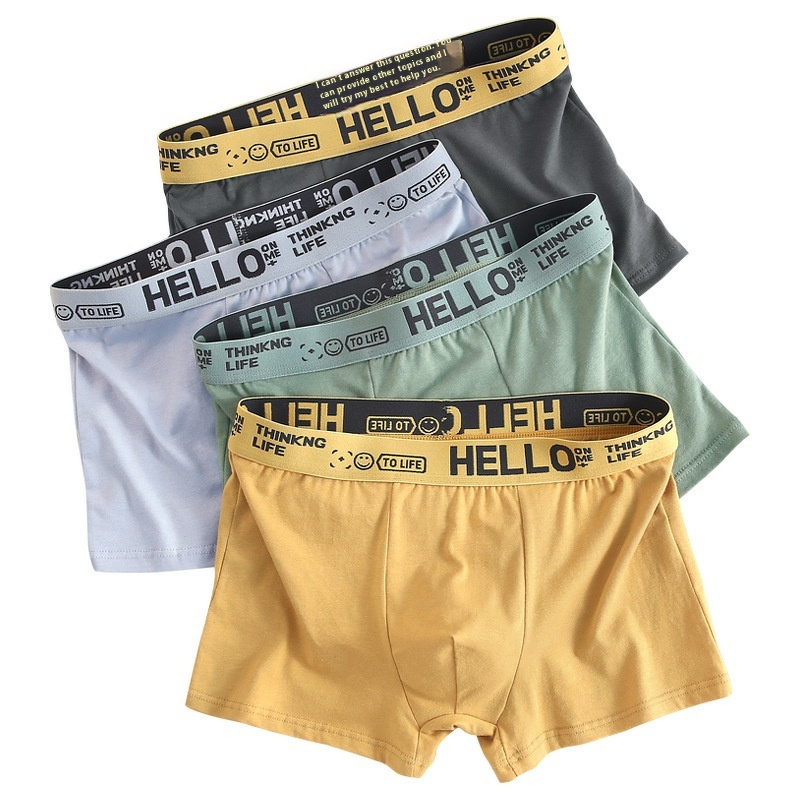 Men's Boxer Shorts Supplier - Custom Plus Size Cotton Underwear