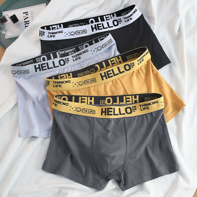 Men's Boxer Shorts Supplier - Custom Plus Size Cotton Underwear