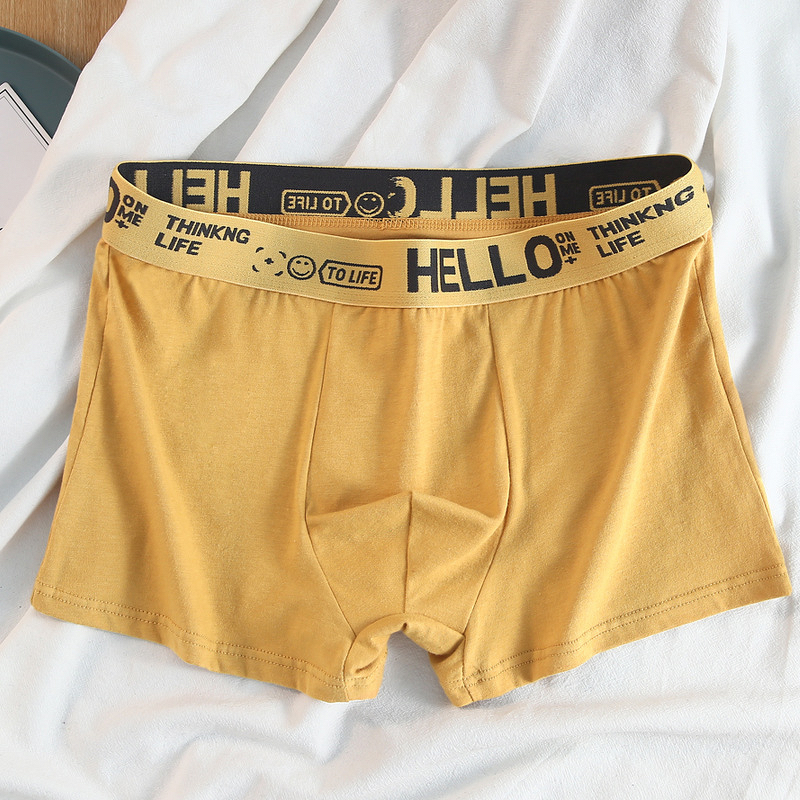 Men's Boxer Shorts Supplier - Custom Plus Size Cotton Underwear