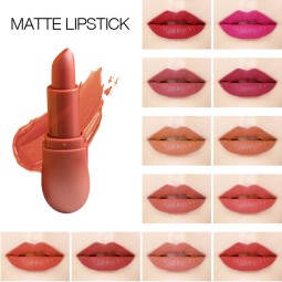 Matte Bullet Lipstick Nude Cosmetic Makeup Lipstick Waterproof Herbal Lip Stick MSDS 4g Wine Bottle Lipstick 3 Years
