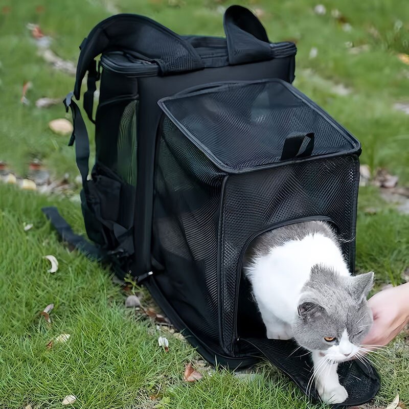 Cat Backpack Supplier - OEM Expandable Large Capacity Foldable