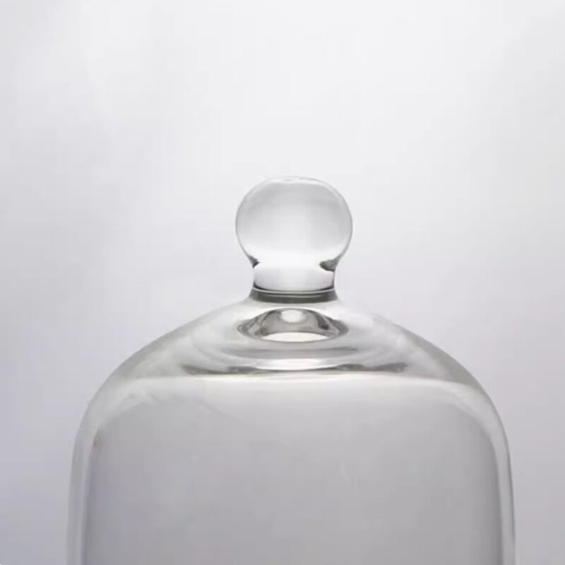 Bell Jar Factory - No.1371 Clear with Knob Top Laboratory