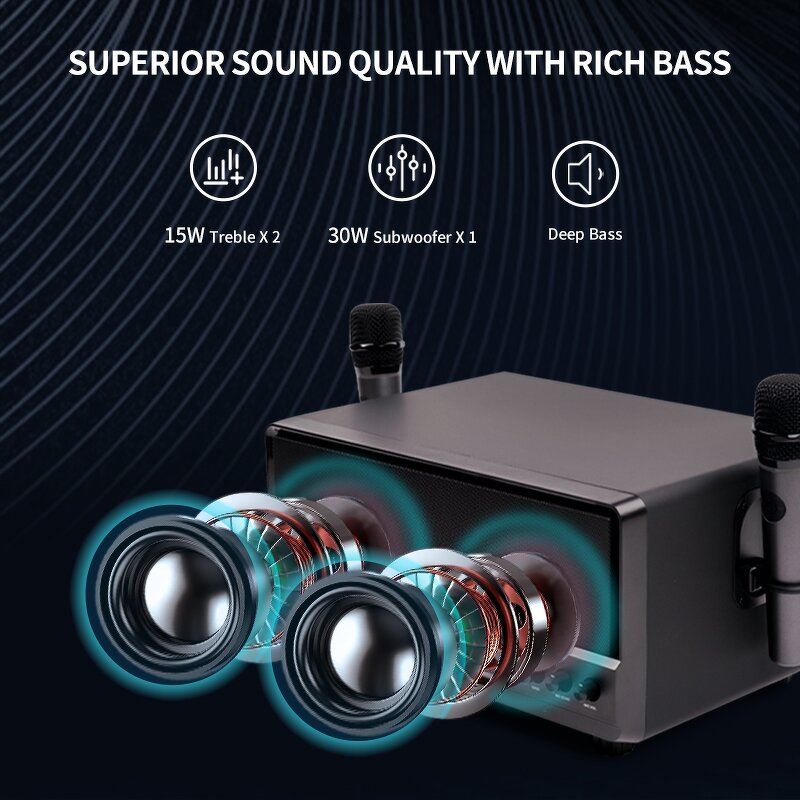 Karaoke Machine Factory - OEM RHM RM-L268 for Adults Kids