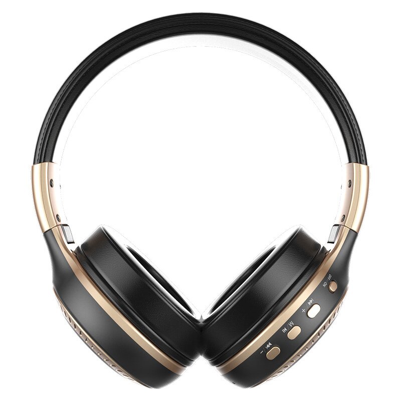 Wireless Headphones Manufacturer - OEM Zealot B19 with FM Radio