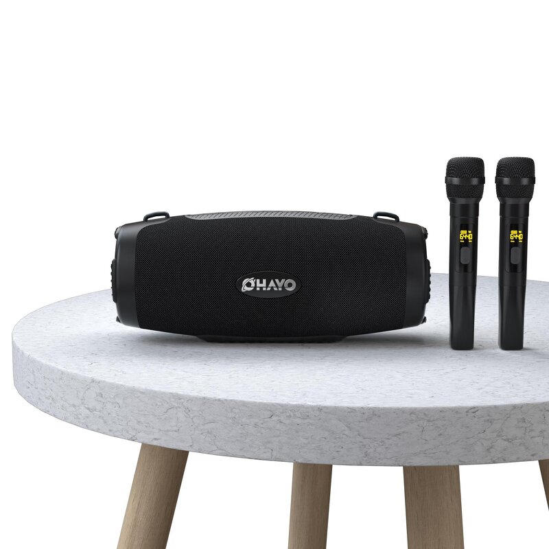 Portable Sound Speaker Factory - OEM OHAYO M8 100W with Wireless Mic