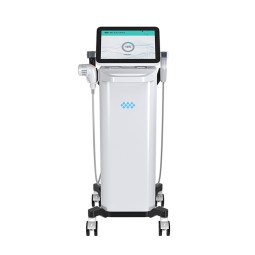 Tax-Free Portable Microneedle RF Machine Fractional Technology for Acne Scar Removal Skin Rejuvenation Collagen Promotion