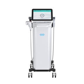 Tax-Free Portable Microneedle RF Machine Fractional Technology for Acne Scar Removal Skin Rejuvenation Collagen Promotion