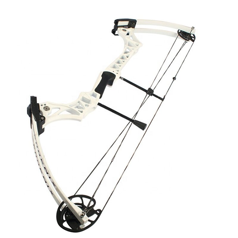 Hunting Compound Bow Factory - 55lbs Alloy Adjustable Adult Outdoor Archery