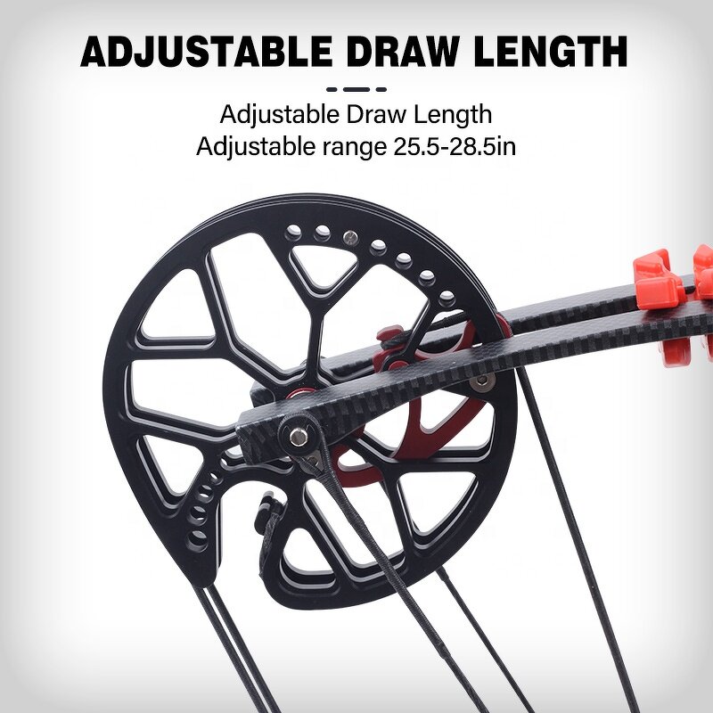 Compound Catapult Bow Factory - Steel Ball Dual-use Outdoor Carbon Arrow