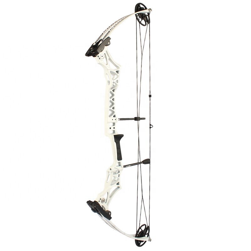 Hunting Compound Bow Factory - 55lbs Alloy Adjustable Adult Outdoor Archery